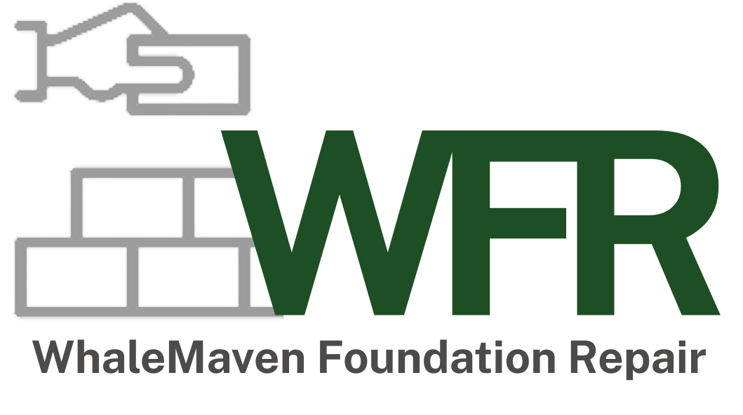Whale Maven Logo